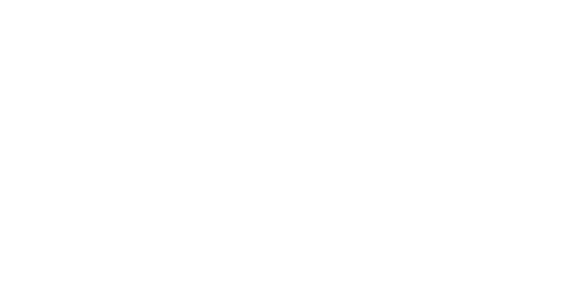 Logo PCM Flash