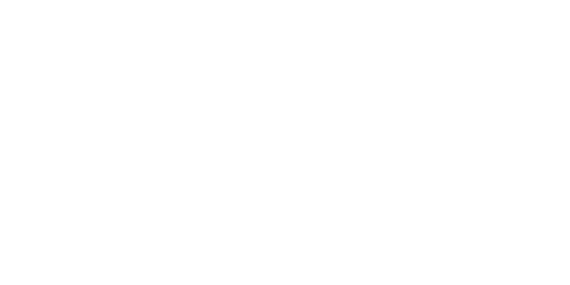 Logo Microtronik